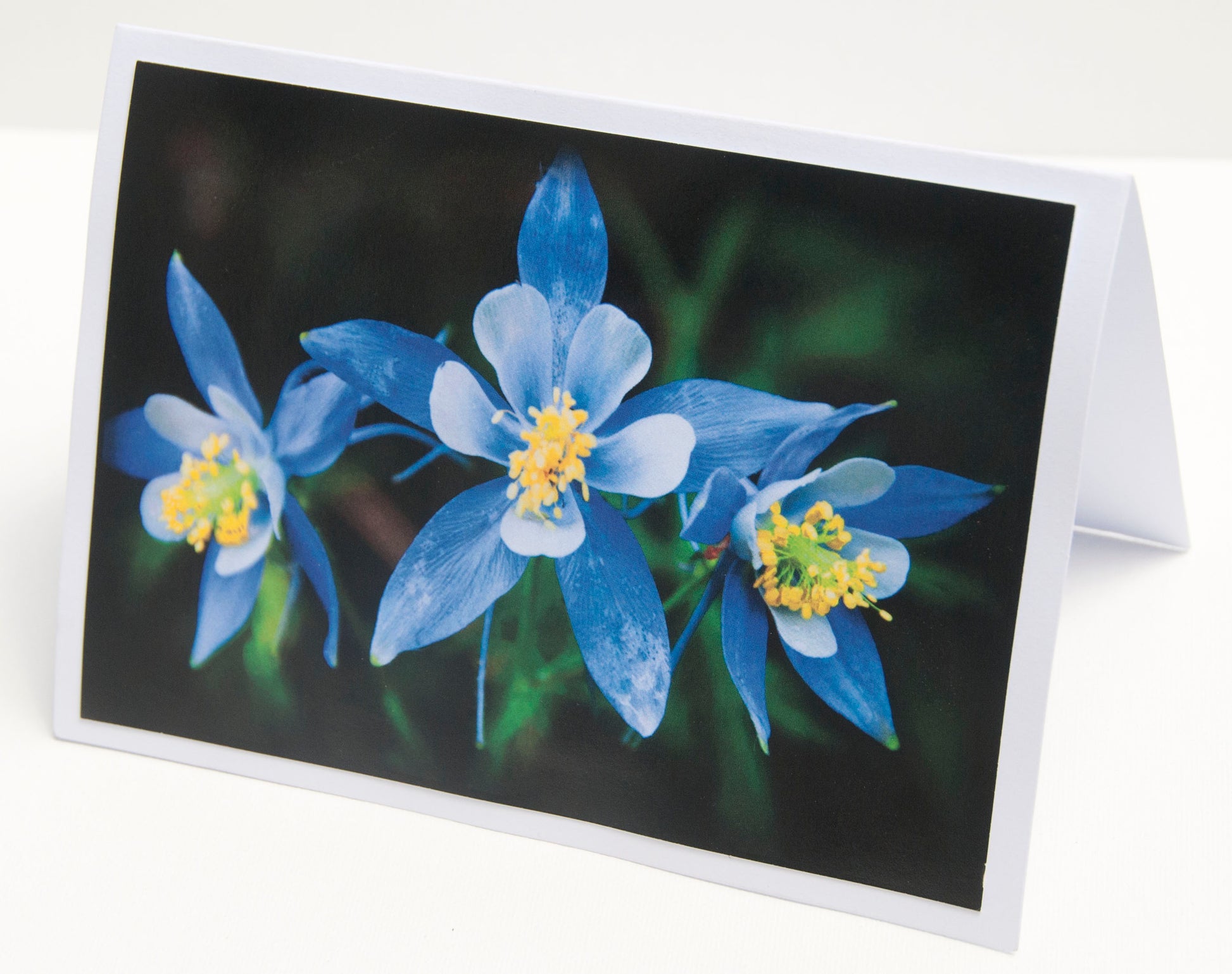 Columbine Notecard